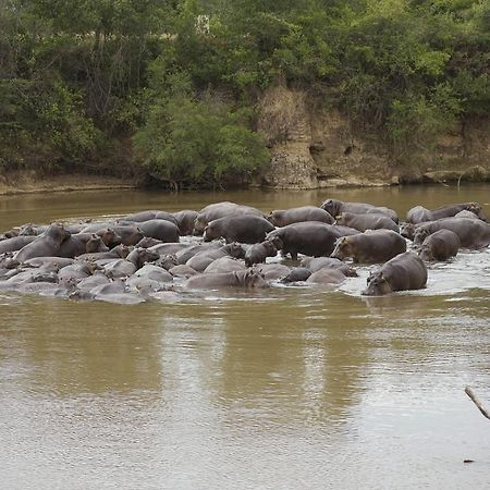Ngerende Island Lodge (Adults Only) Maasai Mara Ngoại thất bức ảnh