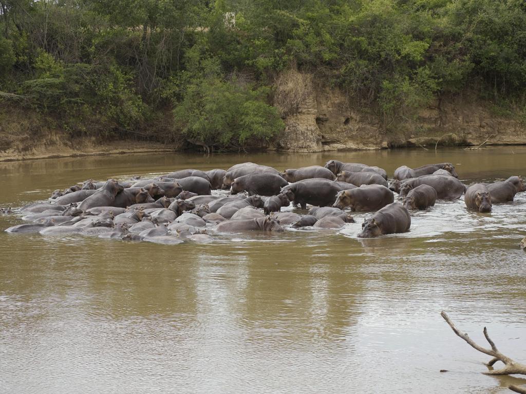Ngerende Island Lodge (Adults Only) Maasai Mara Ngoại thất bức ảnh